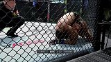 UFC格斗之夜182副赛：古斯塔沃-洛佩兹VS比尔查克