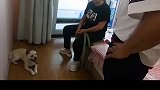 奔奔真是霸道惯了