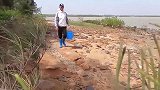 退潮后乱石水坑惊现“大金龙”，体型巨长又凶猛，现场一幕太吓人
