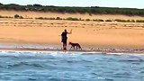 美国：一女子在海滩用棍子对抗跟踪她10分钟的郊狼