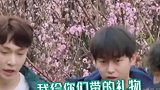 张艺兴不是当年的小绵羊了，哈哈哈现在已经是老狐狸