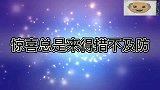 那年那兔那些事：惊喜总是来得让人措不及防