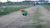 什么情况，不玩了