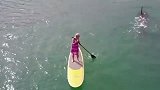 女子练习冲浪，突然一个“黑影”游了过来，看清后吓得魂飞魄散！