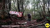 世界最恐怖的三片森林，日本青木原，每年有上百人离奇自杀