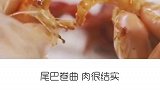 曾经是入侵物种的小龙虾，如今沦落到需要靠养殖苟活