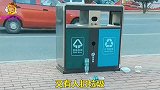 这只文明卫士金毛一夜走红，看完网友纷纷点赞，这才是模范