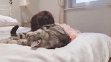 萌娃和猫咪成了好朋友，天天腻在一起玩，这画面也太温馨了！