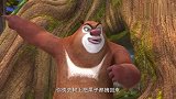 熊出没：熊二保护小爪爪，光头强可受苦啦，帮他上树摘苹果