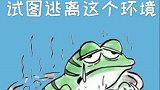 温水真的能煮s青蛙吗？青蛙表示不服