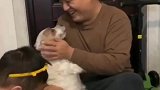狗子一天没见主人见面直往怀里撒娇
