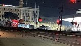 意大利：罗马街头数百只鸟死亡，疑被烟花爆竹“吓死”