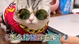 还不会给猫咪穿衣服的可以看过来了！