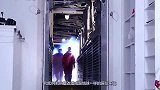 如果火星地下真的有生命，人类还能移民火星吗？引起战争该如何？