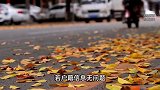 夫妻俩迁户时意外发现名下凭空多出一个女儿，社区：无权直接删除