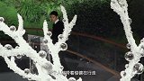 二更视频-20161213-罗三最：心有小鹿，燕乐嘉宾