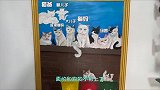 我遇到的一只最重感情的流浪猫