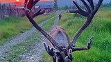 谁的吻，让夕阳窒息，空旷之间