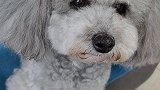 就跟小孩一样，有一回大病就更懂事一点