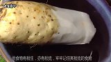 山药跟它一起吃小心吃出一身病！家庭主妇要清楚！长见识了