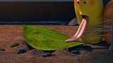 爆笑虫子：小黄设下十面埋伏，把香肠捆在身上，结果被偷了！