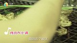 【日日煮】Norma在这里 - 泰穷打工记