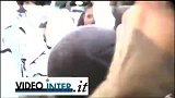 意甲-1415赛季-现场火爆！沙奇里空降米兰城-新闻