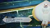 黄金海岸线：三大毒鱼！舌尖总导演的诡异饭局！