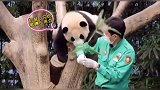 来来来，今天教教你们什么叫撒娇卖萌