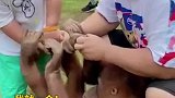 萌娃和大猩猩抢果冻竟然抢赢了，把围观的小朋友都惊呆了