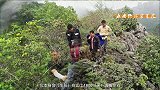 劳动者之歌｜收集世间美好的“兰花猎人”