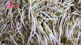教你在家生豆芽，2个小技巧，豆芽又粗又壮，健康安全又省钱