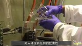 大学生研发“水晶球”，1颗卖5毛钱，7天众筹1000多万！