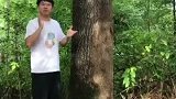 这是真正的高手，有个人欺骗了我的眼睛