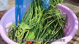 农村干豆角传统制作方法，学会这一招，放1年都不会坏