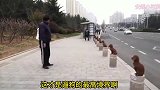 爆笑：大叔训练泰迪有一手啊