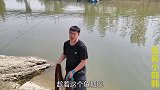 鱼塘管理员没在，拿八米手网来捕鱼，见到鱼群就撒！真是太刺激了