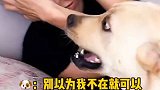 当我打老婆的时候