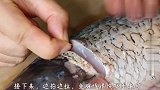 孩子爱这样吃草鱼，做法简单味道足，比红烧还过瘾，4斤不够吃