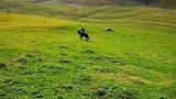 永宁铁骑，骑行第八天新疆喀纳斯
