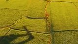 “我的家乡美·湘约马栏山”优秀短视频征集展示活动｜这里，是考古山西
