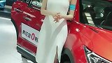 车展上唯一一个我比较喜欢的车模，她每次车展我都来