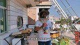 蜂箱盖粘住了打不开怎么办？老蜂农使用小技巧，蜜蜂不受打扰