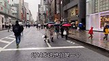 日本人根本不是自律，是不敢打破规则,看看突然停电后的东京街头