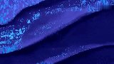 少年骇客：进化人为救小班断了一只手，小班：我用沼泽火帮你接手