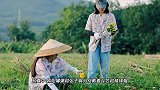 神奇的cp感！张子枫欧阳娜娜田园写真超幸福，好似唯美的一幅画