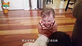 妈妈让狗狗摸一下宝宝，接下来请注意狗狗的举动，看一次想笑一次