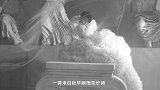 蔡徐坤米白色拖地长裙完美蜕变，突破偶像桎梏让人惊艳