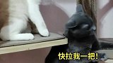 黑妹：我记住你了！