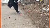 林子大了，什么狗都有，简直就是太搞笑了
